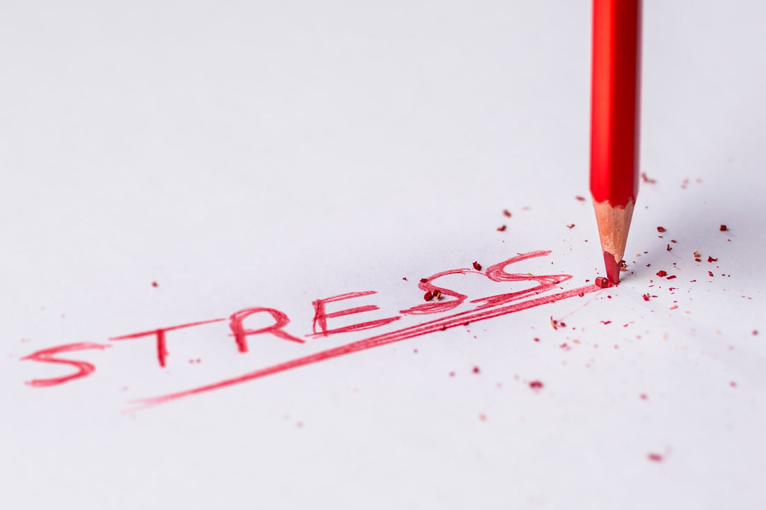 Stress & Cortisol: What You Need to Know for a Healthier Life